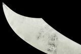 Polished Quartz Crystal Sword with Metal Stand #379928-4